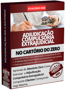 SEM FUNDO MOCKUP ADJUDICAÇÃO - cópia